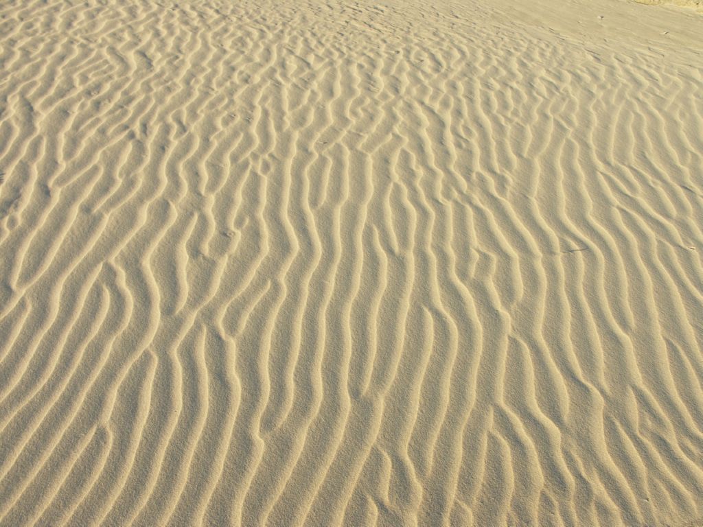namib desert